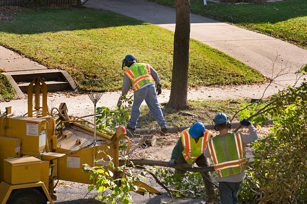 Best Emergency Tree Service  in Lake Butler, FL